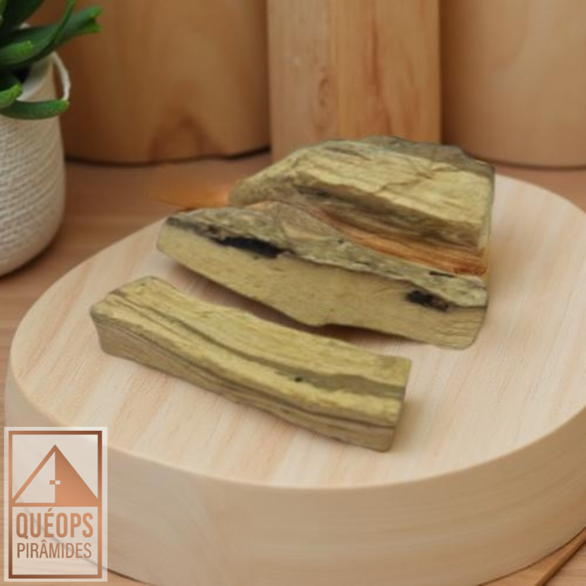 export-71969711-0e4b-4f34-8d60-c622a1ca4de7